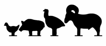 Silhouette image